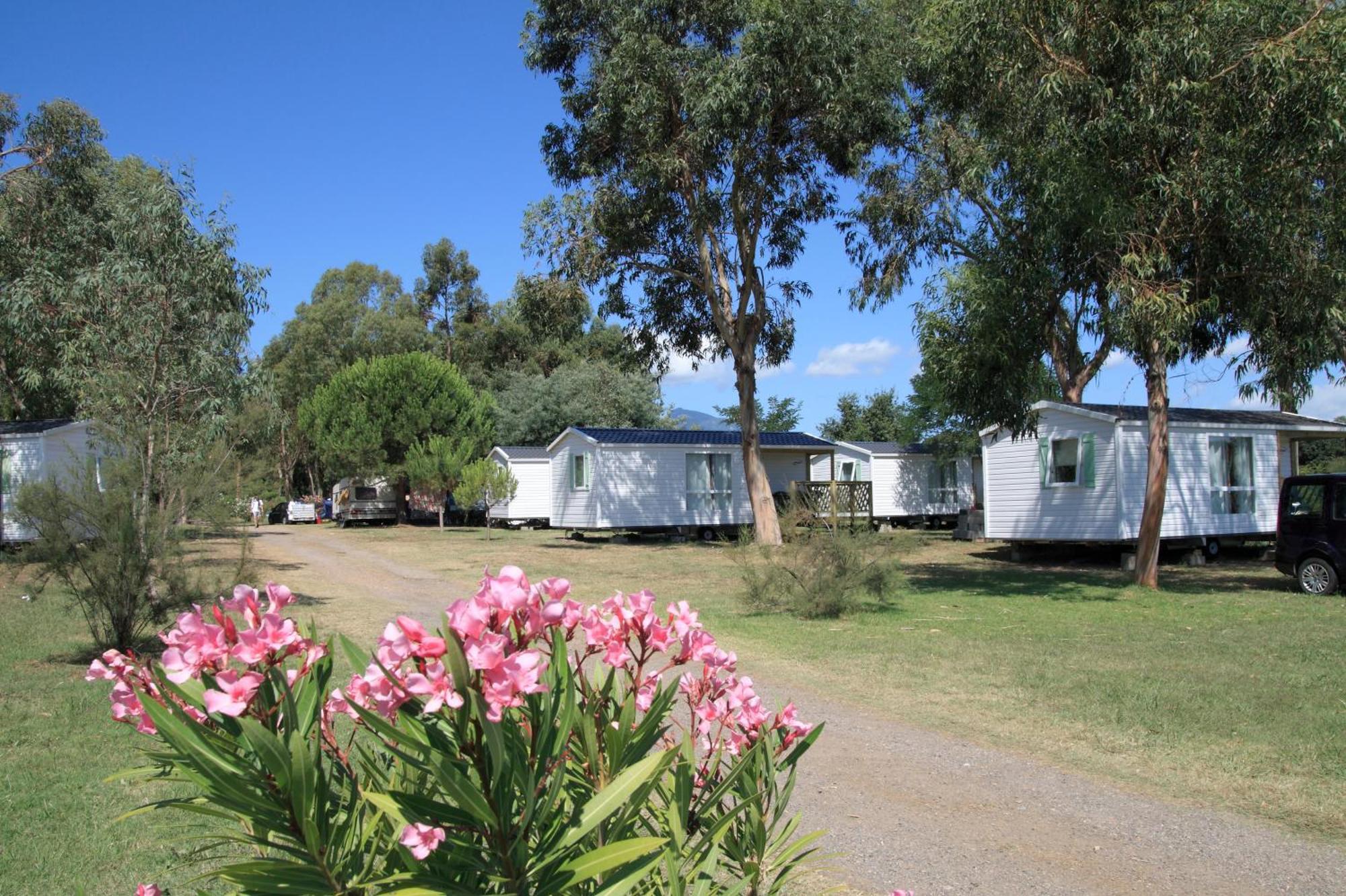 Camping Miami Plage Hotel Poggio Mezzana Bagian luar foto