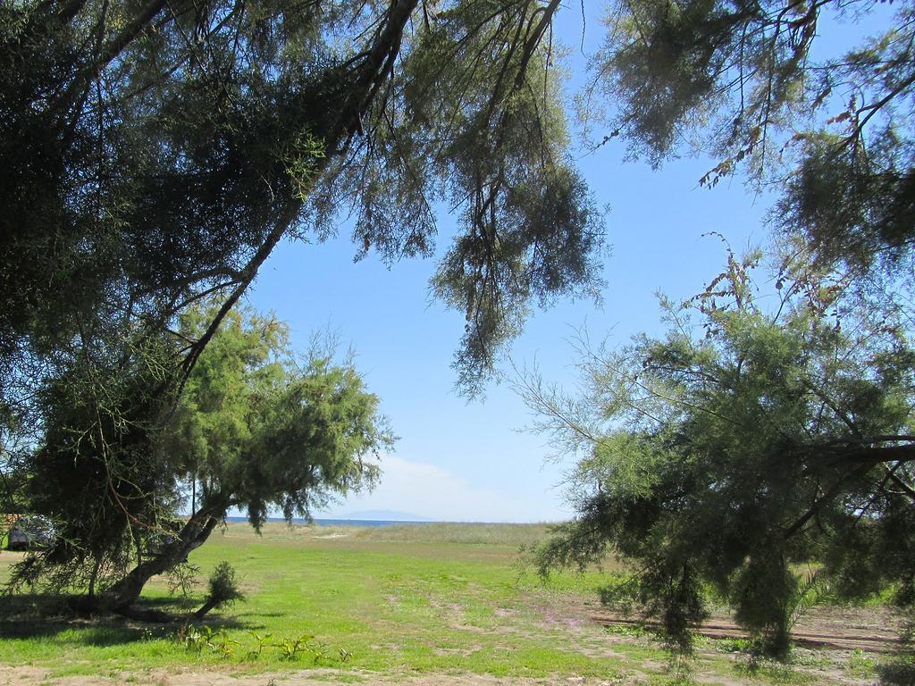 Camping Miami Plage Hotel Poggio Mezzana Bagian luar foto