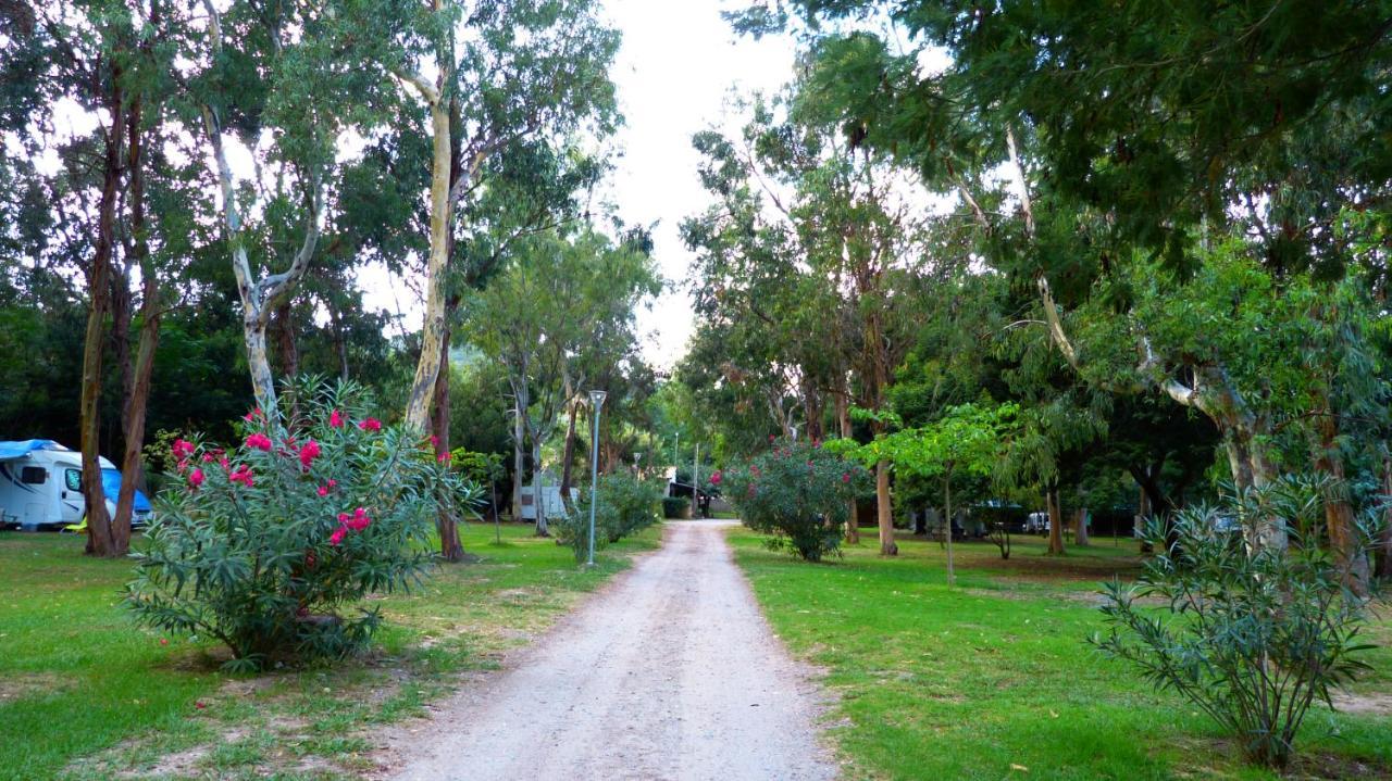 Camping Miami Plage Hotel Poggio Mezzana Bagian luar foto